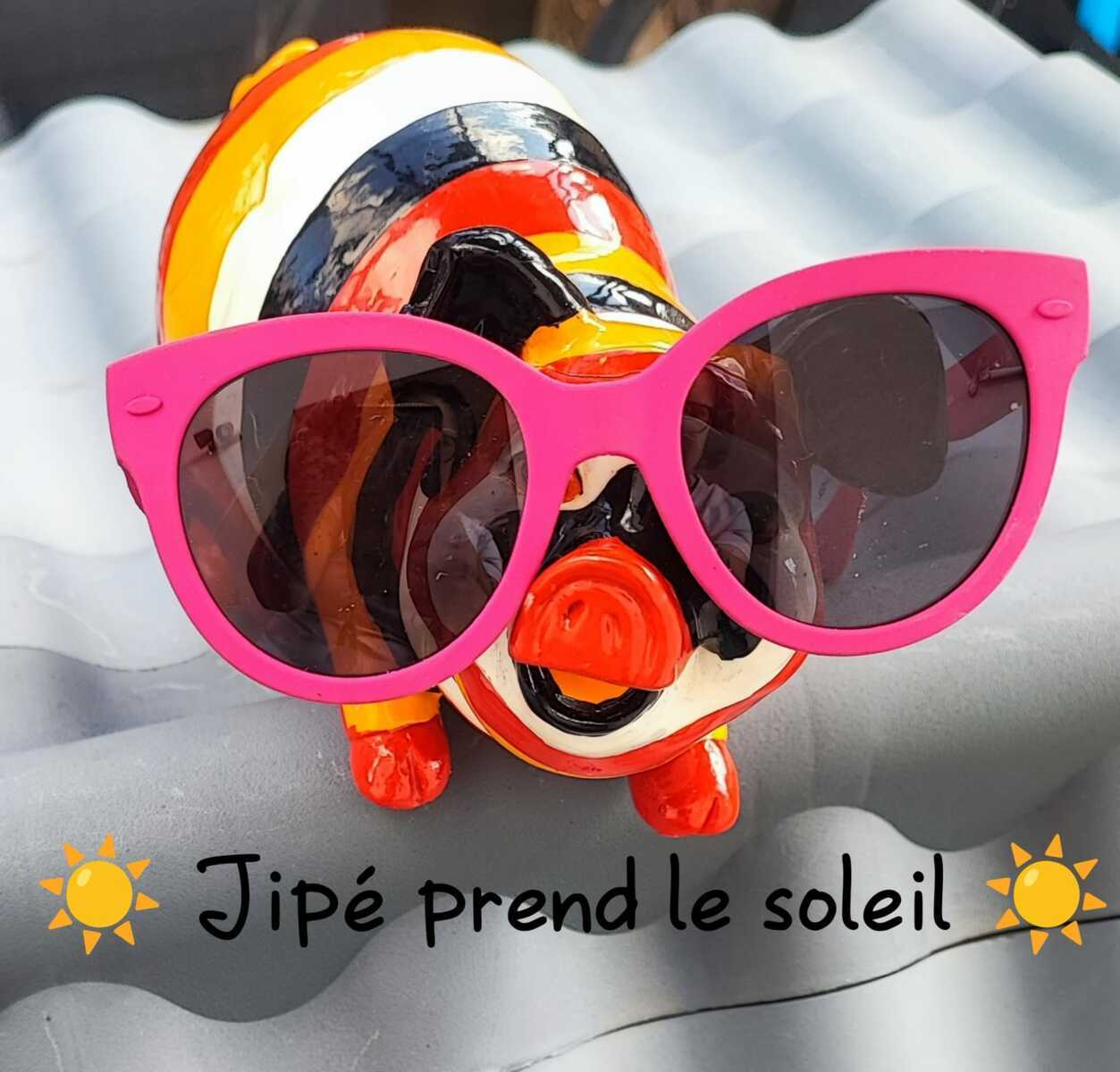 Les aventures de Jipé, un mois de février bien rempli !