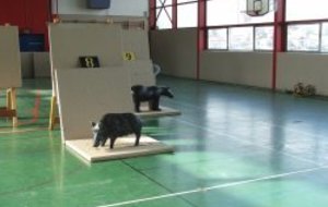 Rencontres récréatives jeunes du 21-11-09