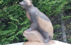 concours 3D du 09 octobre 2011