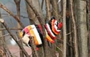 CI 2012 : Didier se balade sur le nature