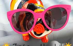 Les aventures de Jipé, un mois de février bien rempli !