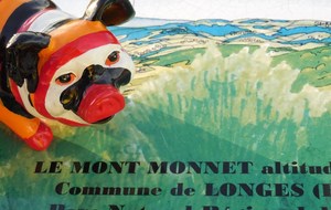 Jipé en haut des cimes