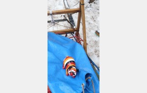 Jipé fait du traineau_02_test du traineau