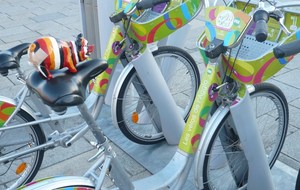 Jipé fait du vélivert