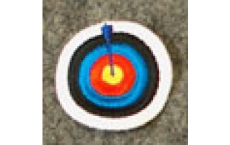 Bilan statistique comparatif à mi-saison salle