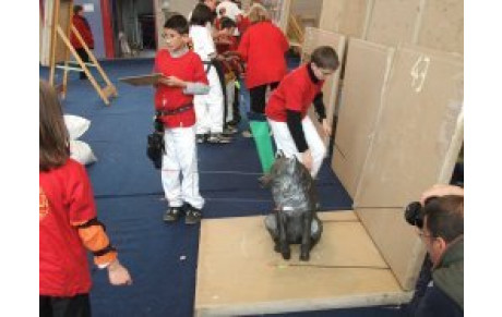 Concours salle à St Etienne