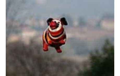 Les aventures de  Jipé