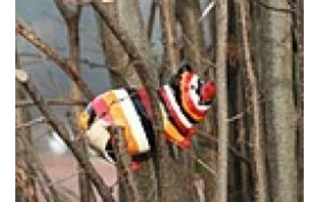 CI 2012 : Didier se balade sur le nature